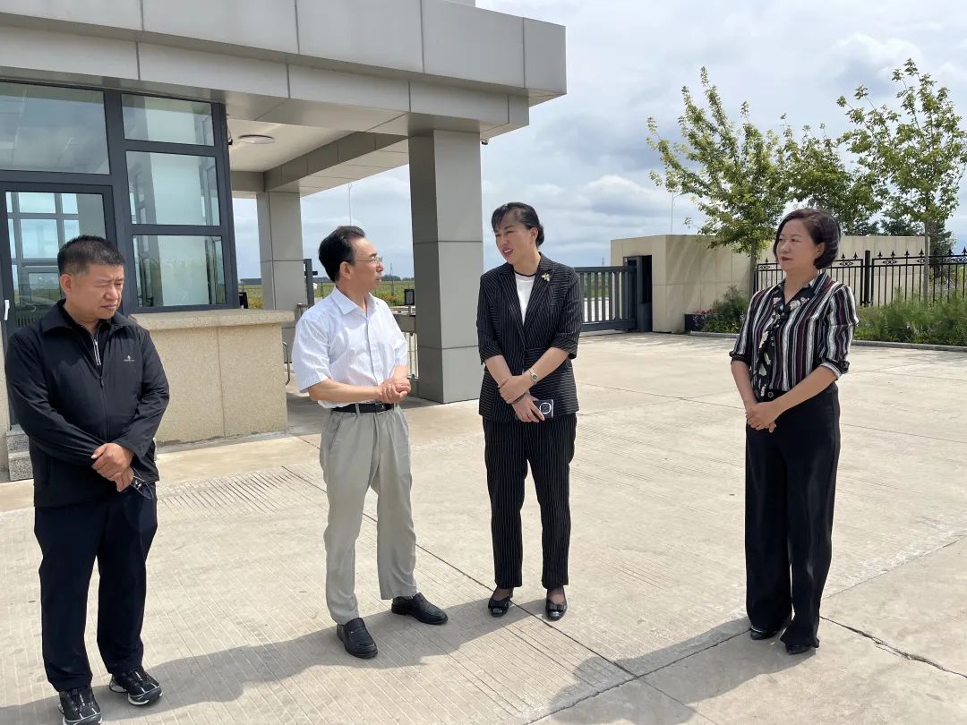 1755672186782053046.jpg 01.jpg