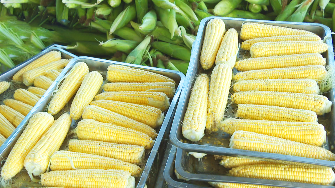 1758266226224028994.png 05.png