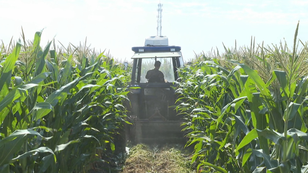 1758266230643067503.png 03.png