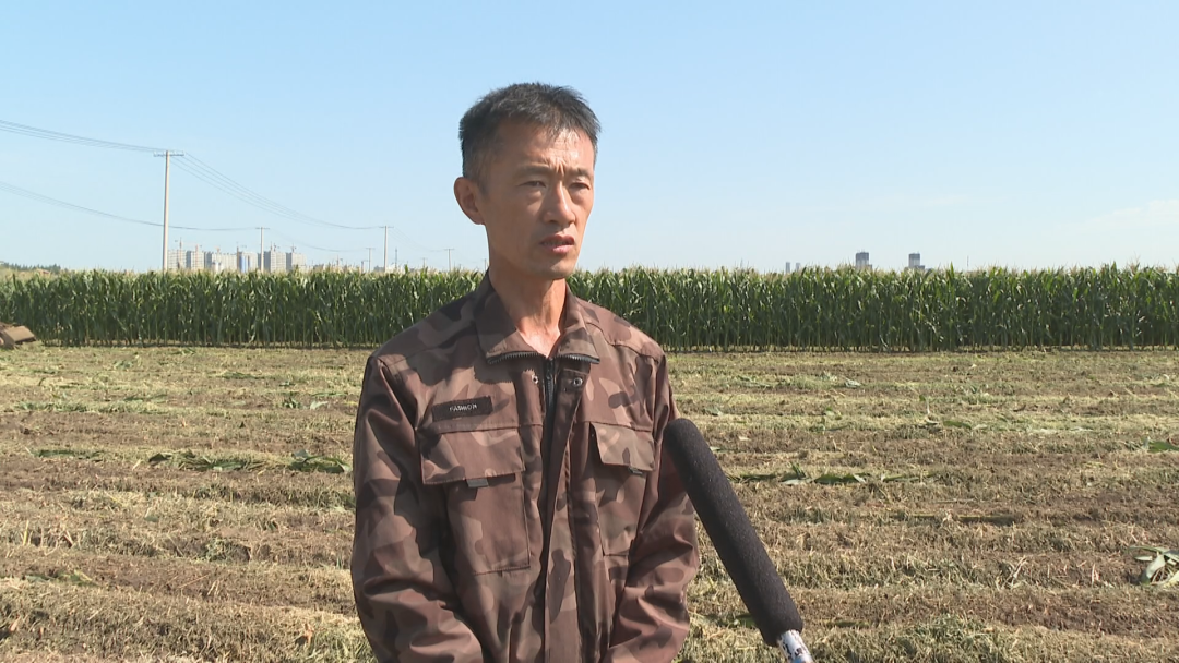 1758266244844086388.png 02.png