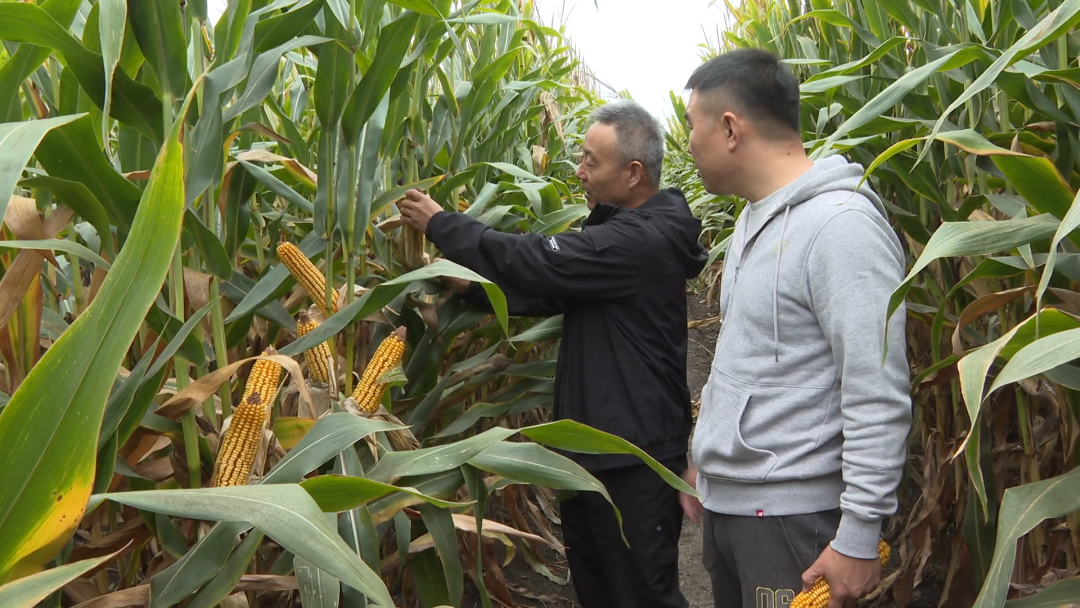 1760940325954024765.png 03.png