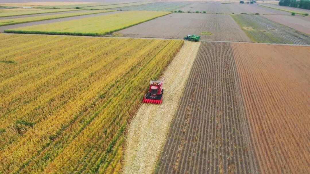 1760940331168078906.jpg 01.jpg