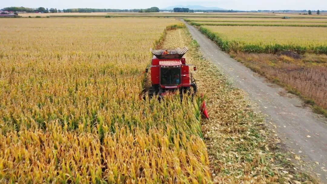 1760940332275043428.jpg 02.jpg