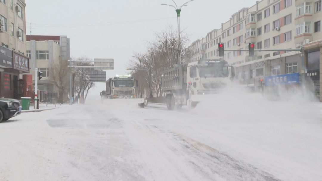 1764313956085036190.png 333.png