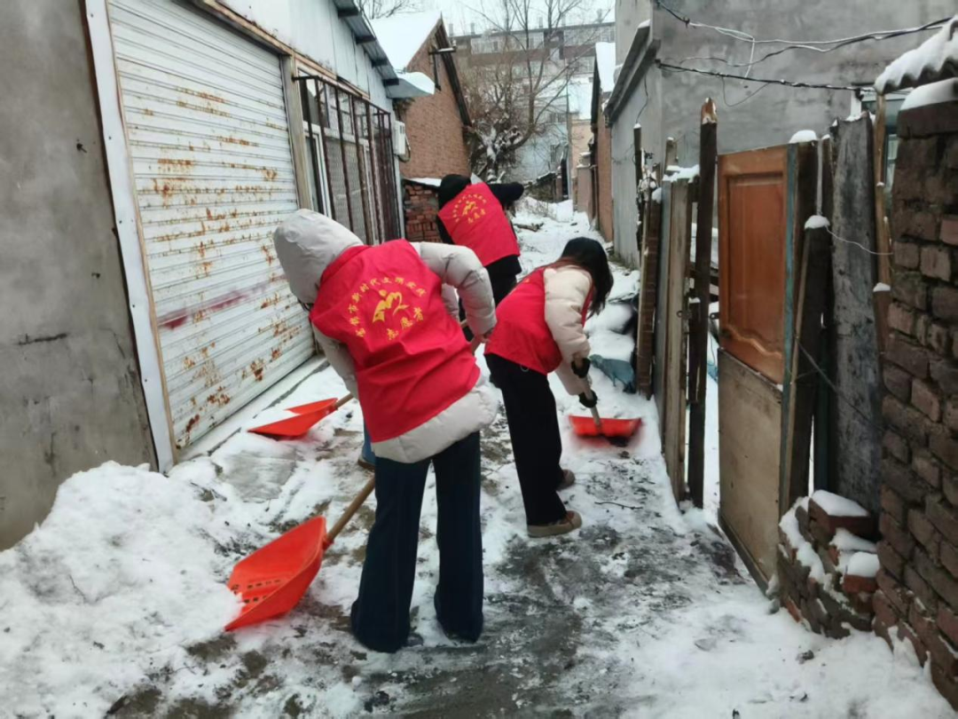 1764654445823053866.png 04.png