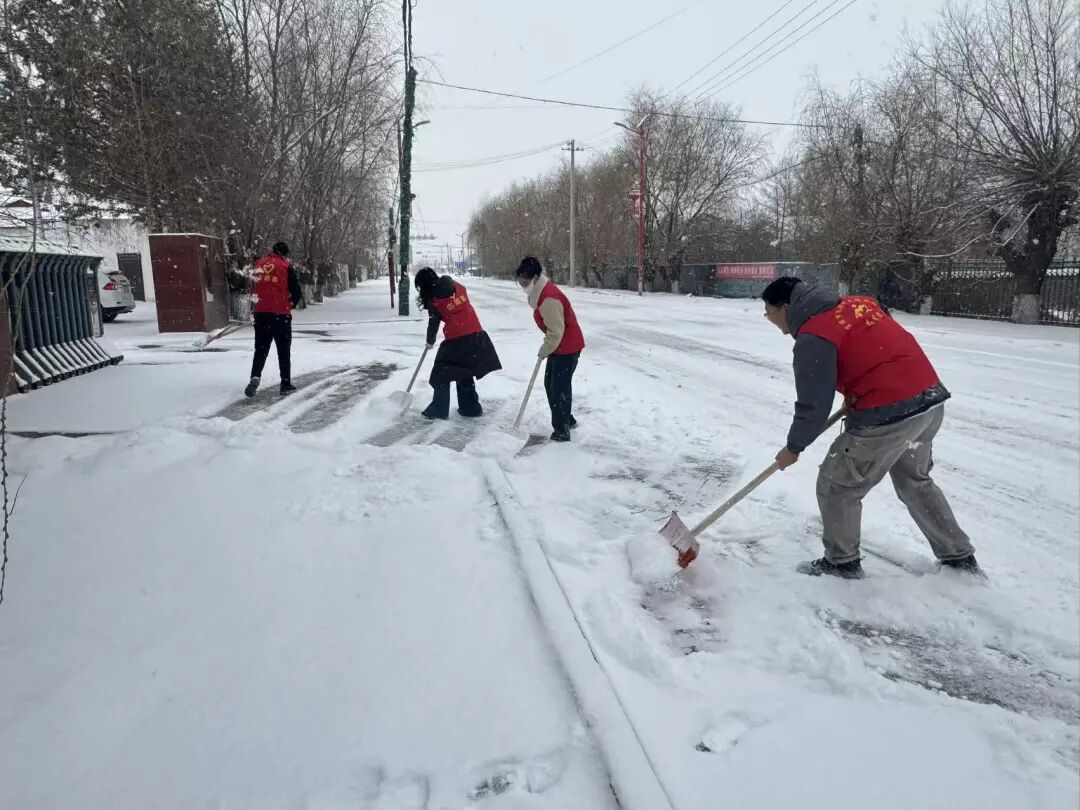 1764723445954025735.jpg 20.jpg