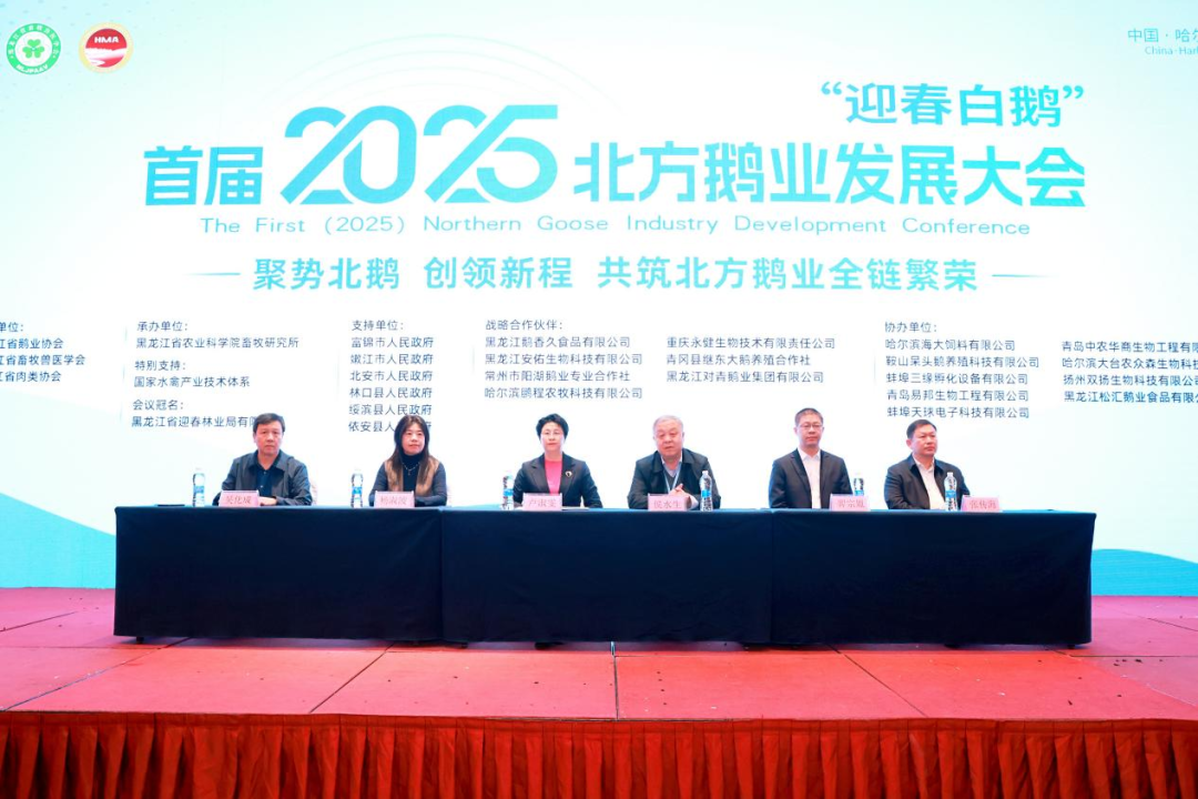 1764723679759040906.png 0001.png